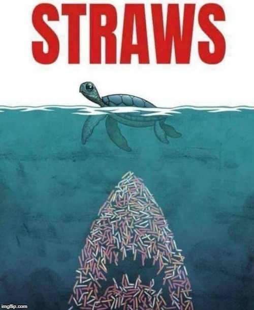 This is the last straw meme, until I find a better one! Imgflip