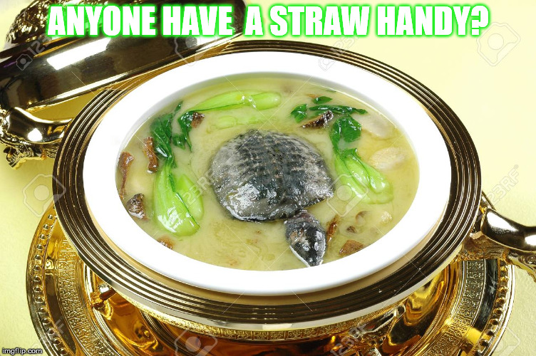 turtles Memes & GIFs Imgflip