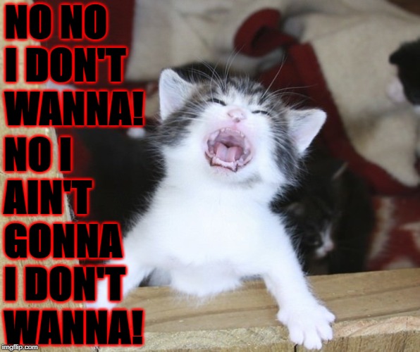 Image tagged in temper tantrum Imgflip