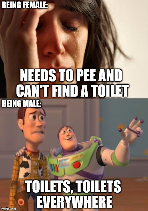 Female vs. Male in toilets Imgflip