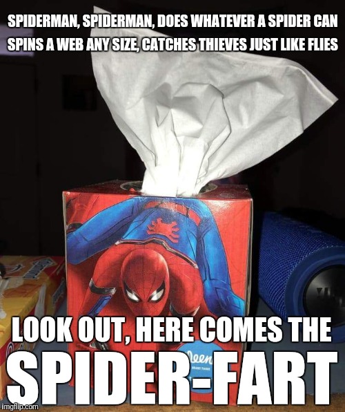 Spiderfart Imgflip
