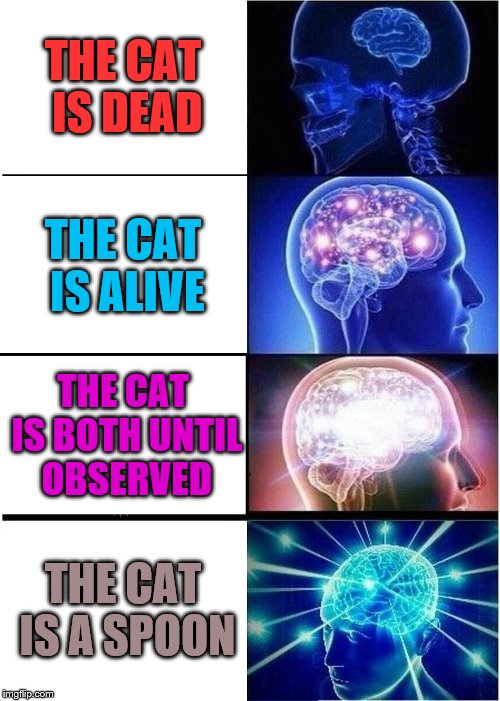 How the cat is? Imgflip