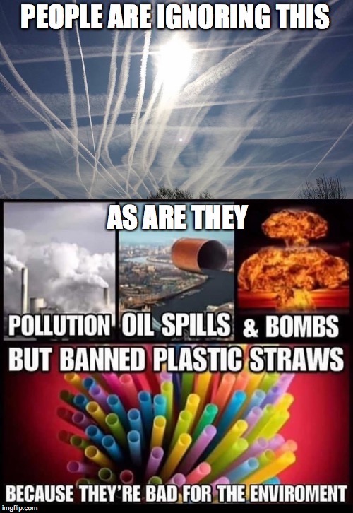 Plastic Straws But Not... Imgflip