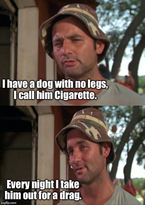 dog joke Memes & GIFs Imgflip