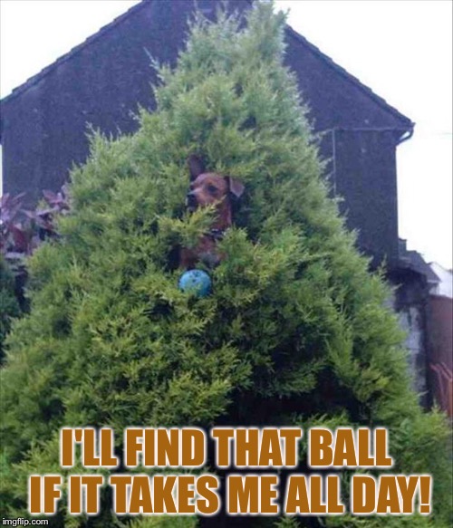 Yeah, it was funny the first time you threw it in here. Imgflip