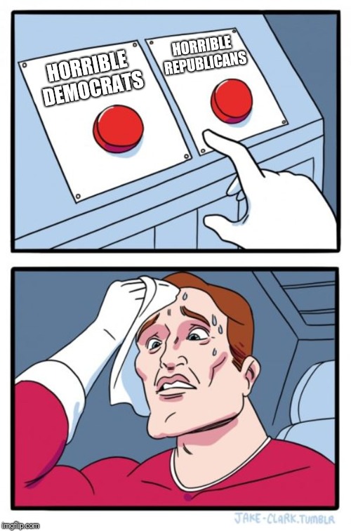 Voting in the U.S. Imgflip