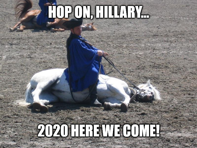 A dead horse Imgflip