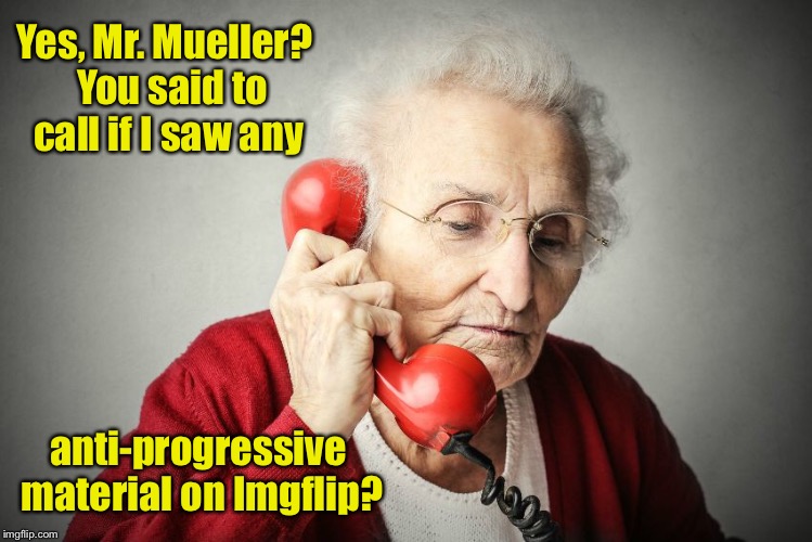 Image tagged in memes,imgflip,mueller,confidential informant,anti