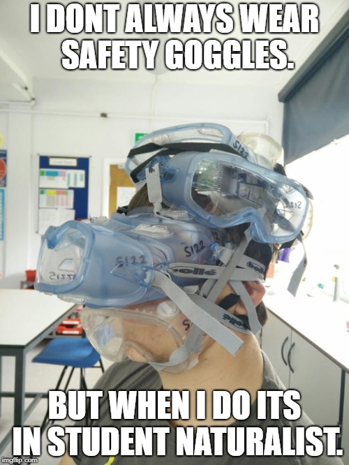 Safety Goggles Imgflip