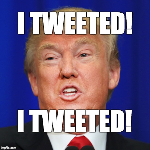 I tweeted! I tweeted! Imgflip