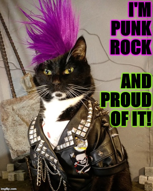 PUNK ROCK Imgflip