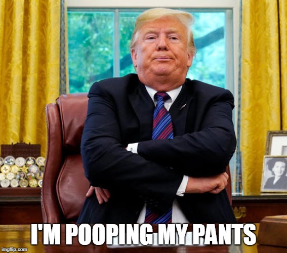 Image tagged in trump pooped Imgflip