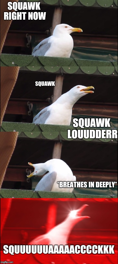 Inhaling Seagull Meme Imgflip