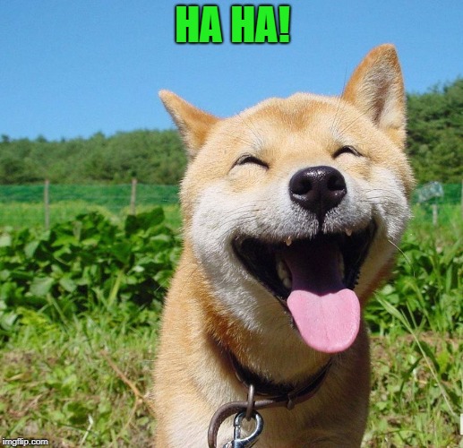 I heard too many bad puns this last weekend, so I will unleash them on