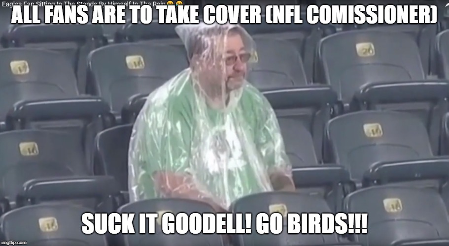 Image tagged in philadelphia eagles,eagles,fan Imgflip