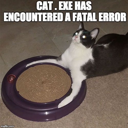 windows xp Memes & GIFs Imgflip