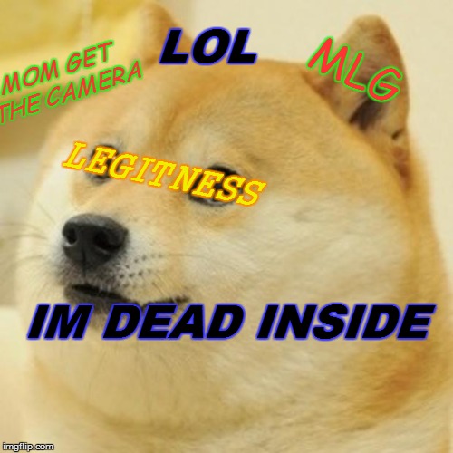 Doge Meme Imgflip