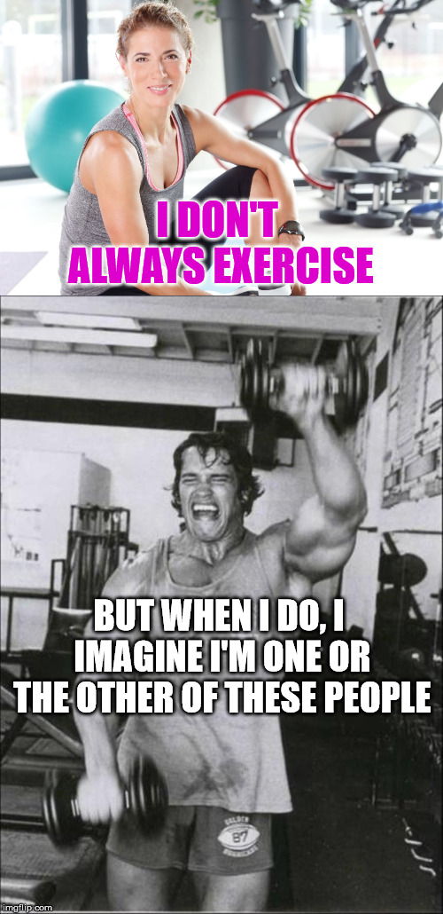 Get fit or get out! Imgflip