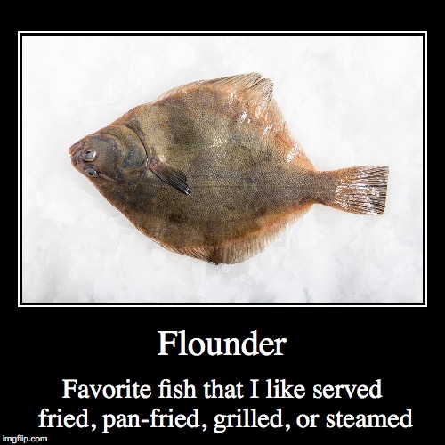 flounder Memes & GIFs Imgflip