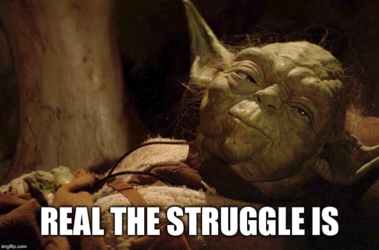 The Struggle Is Real Meme Life Of A Cat The Struggle Is Real (Memes)