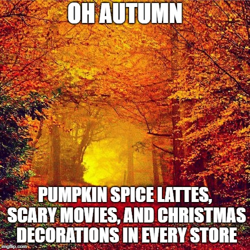 autumn walk Memes & GIFs Imgflip