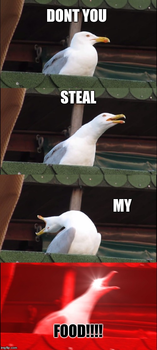 MINE MINE MINE Imgflip