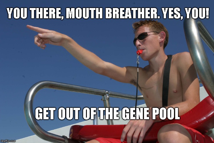 Get out of the gene pool Imgflip