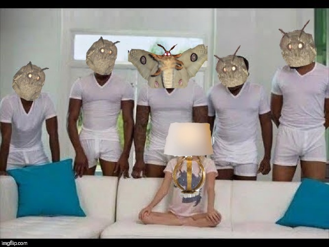 Image tagged in lamp,moths Imgflip