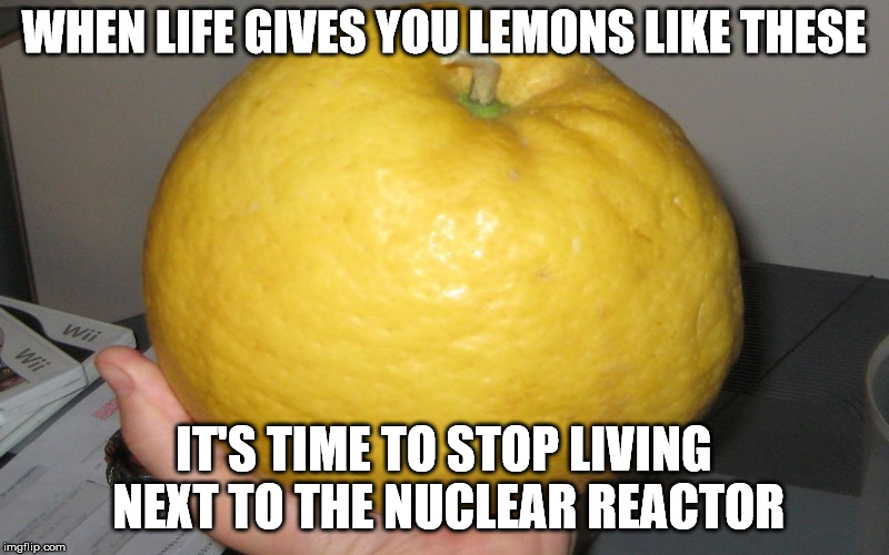 Image tagged in memes,large lemon Imgflip