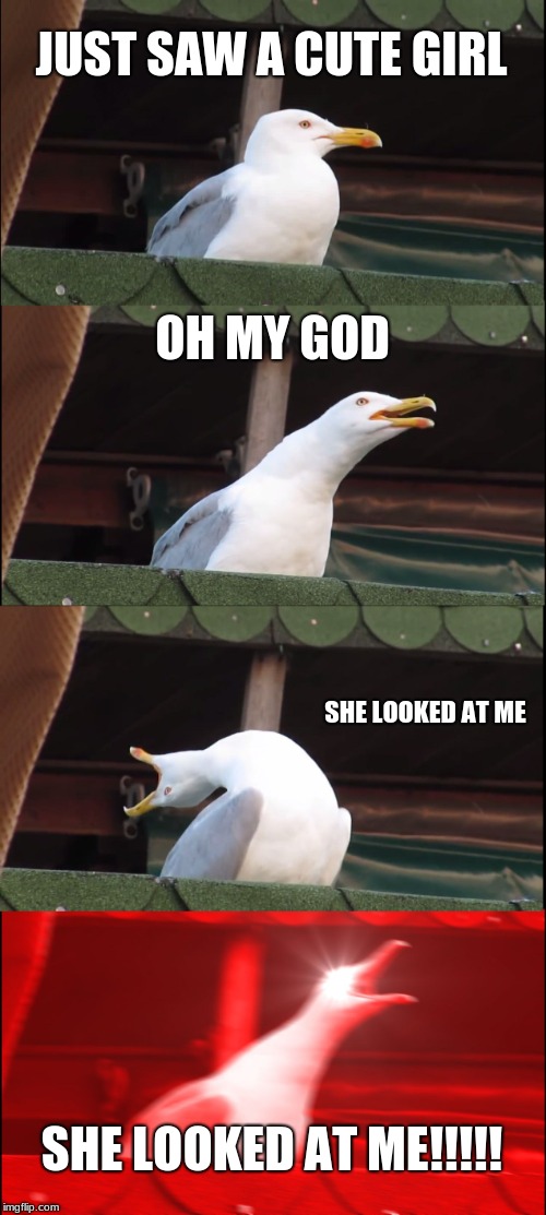Inhaling Seagull Meme Imgflip
