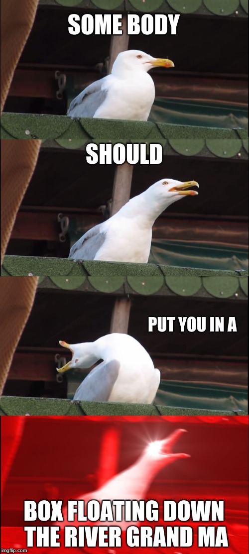 Inhaling Seagull Meme Imgflip
