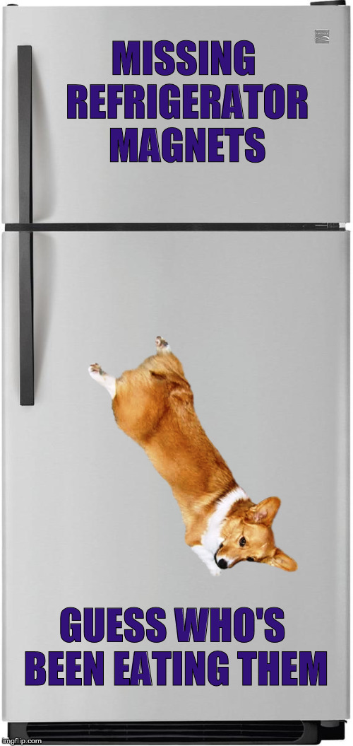 Funny Refrigerator Memes