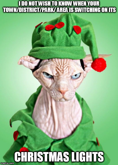 christmascat Memes & GIFs Imgflip