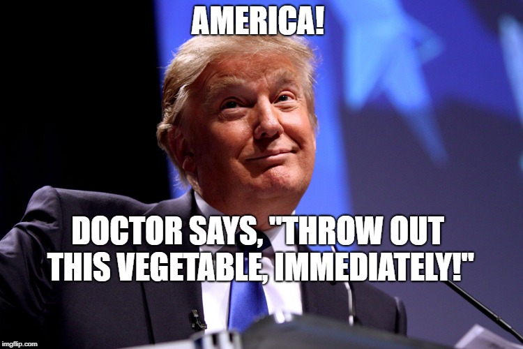 Donald Trump No2 Imgflip