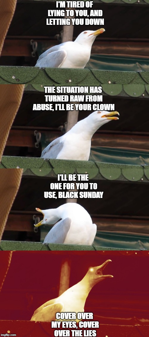 Meme Laughing Bird Luisa Rowe