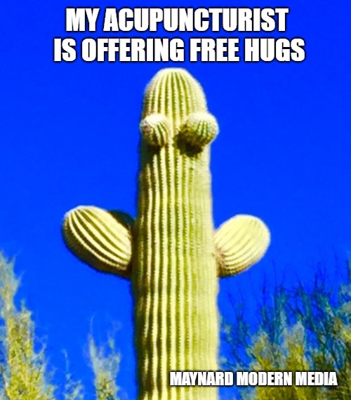 Huggy Cactus Imgflip