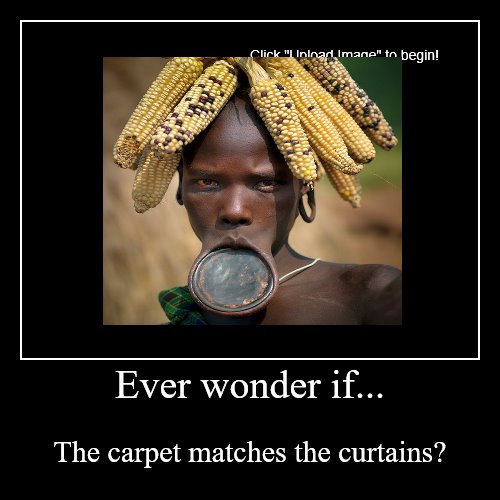 Ever wonder if... Imgflip