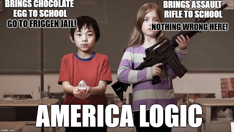 America logic Imgflip