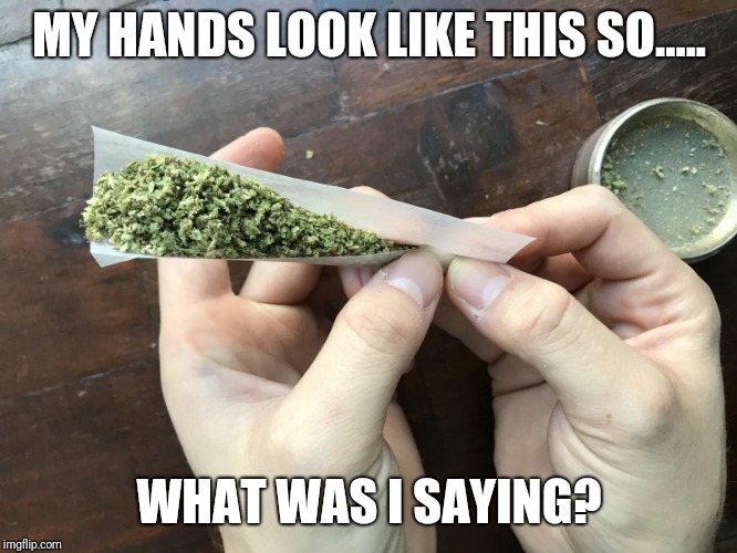 Image tagged in memes,weed,marijuana,funny Imgflip