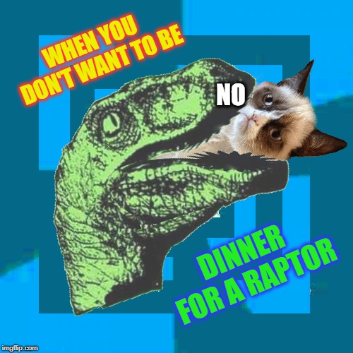 Why can't you just have salad? Imgflip