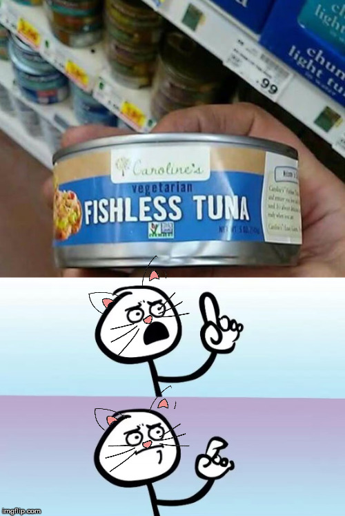 Tuna time! Imgflip