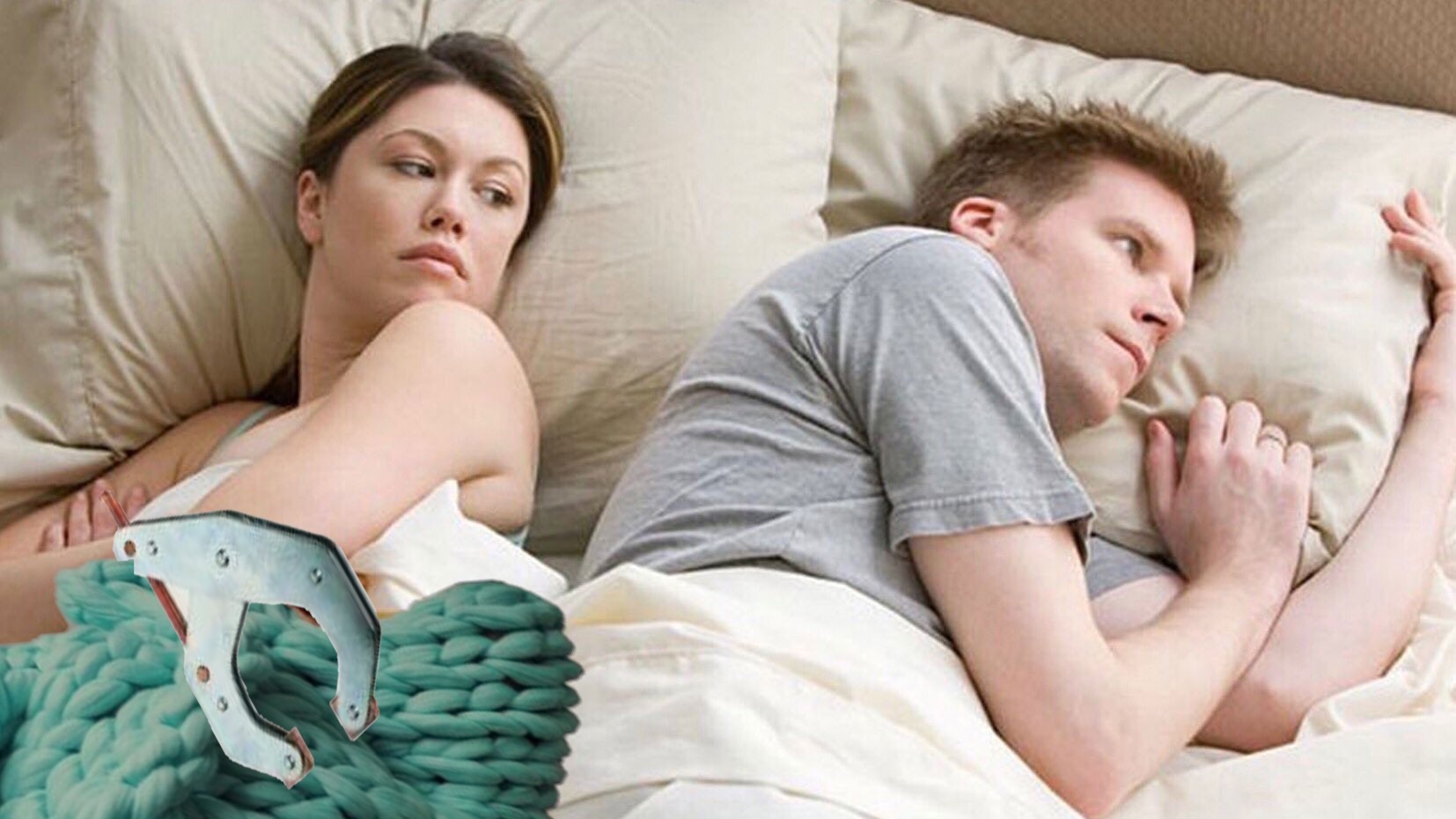 Blanket Hog Blank Template Imgflip