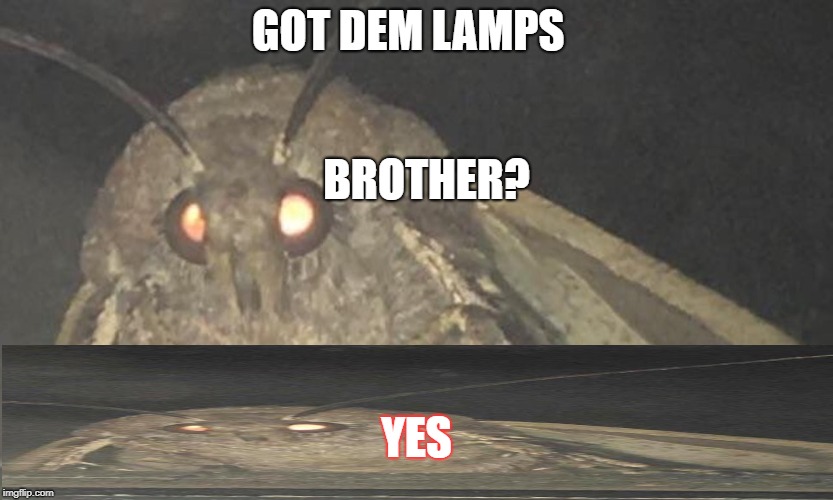 moth meme Memes & GIFs Imgflip