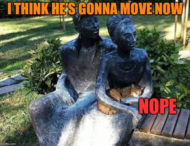 Now? Nope. Imgflip