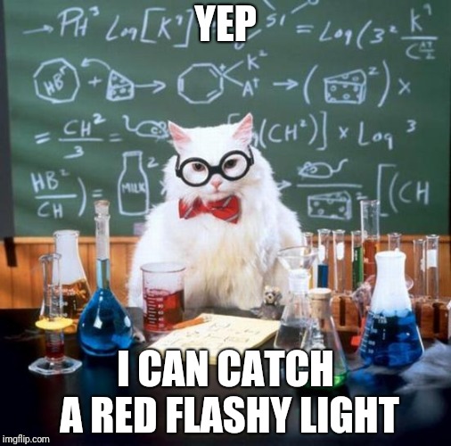 Chemistry Cat Meme Imgflip