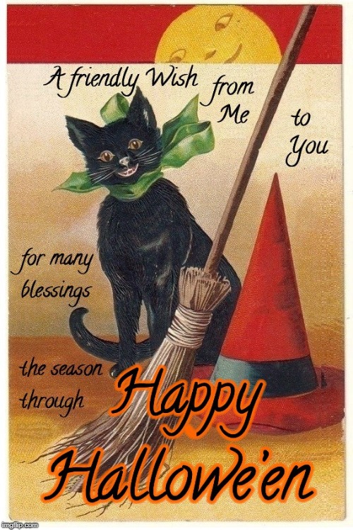 Image tagged in halloween,happy halloween,cute cat,blessings,cat meme