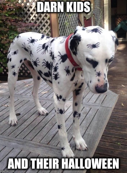 I think it's funny Imgflip