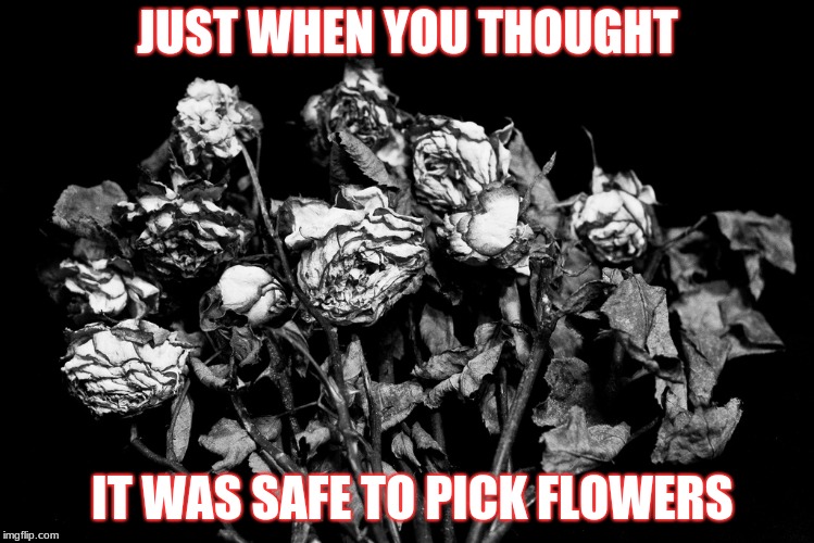 Image tagged in dead flowers Imgflip