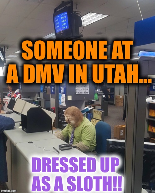 zootopia sloth Memes & GIFs Imgflip