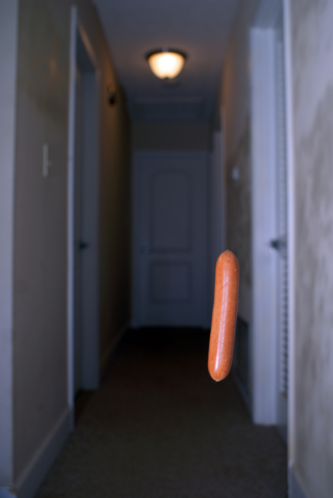 Hot Dog in a Hallway Blank Template Imgflip